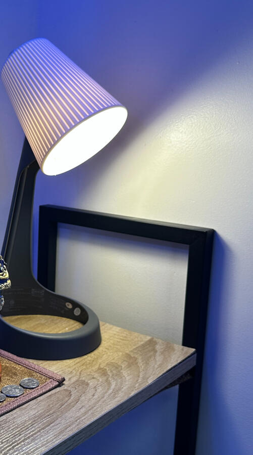 Working desk lamp